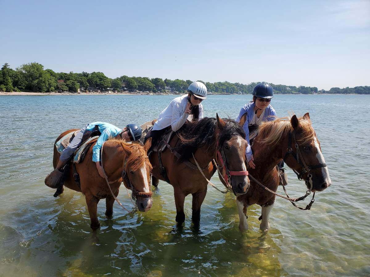 People hugging their horses while horseback riding at the beach