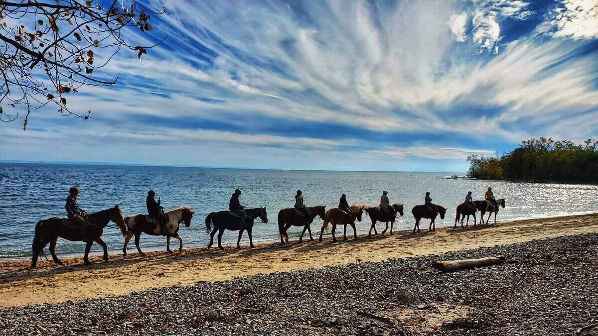 Horses riding down the beach