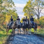 Horseback Riders on a Trail Ride