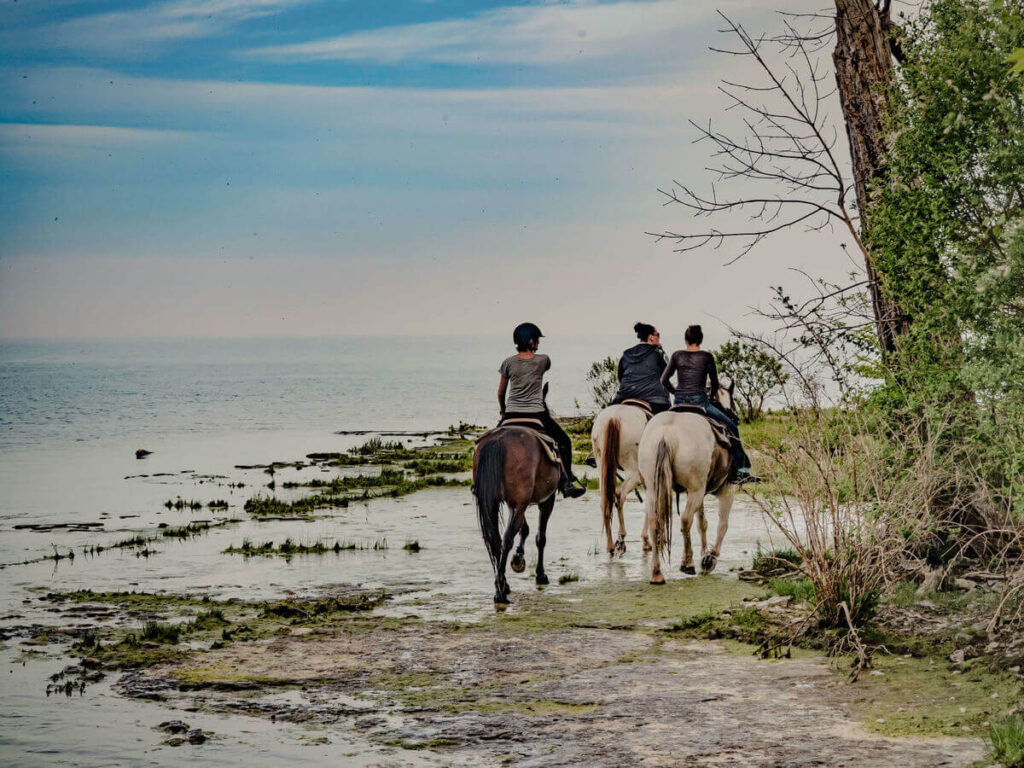 Horseback riders traveling along the beach