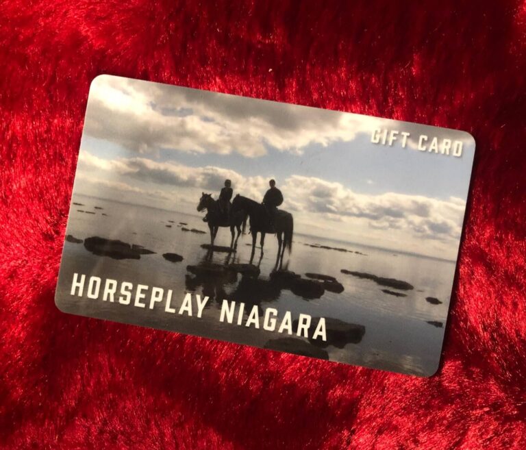 gift-certificates-horseback-riding-in-niagara-ontario