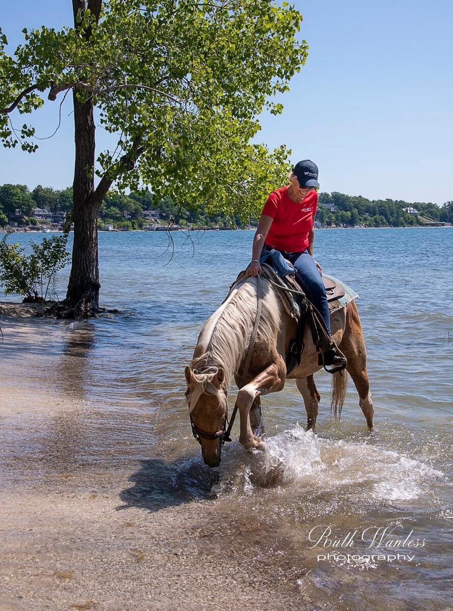 Horse playing in water while out on a ride