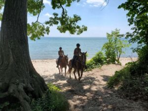 Couple trail riding horses on the beach