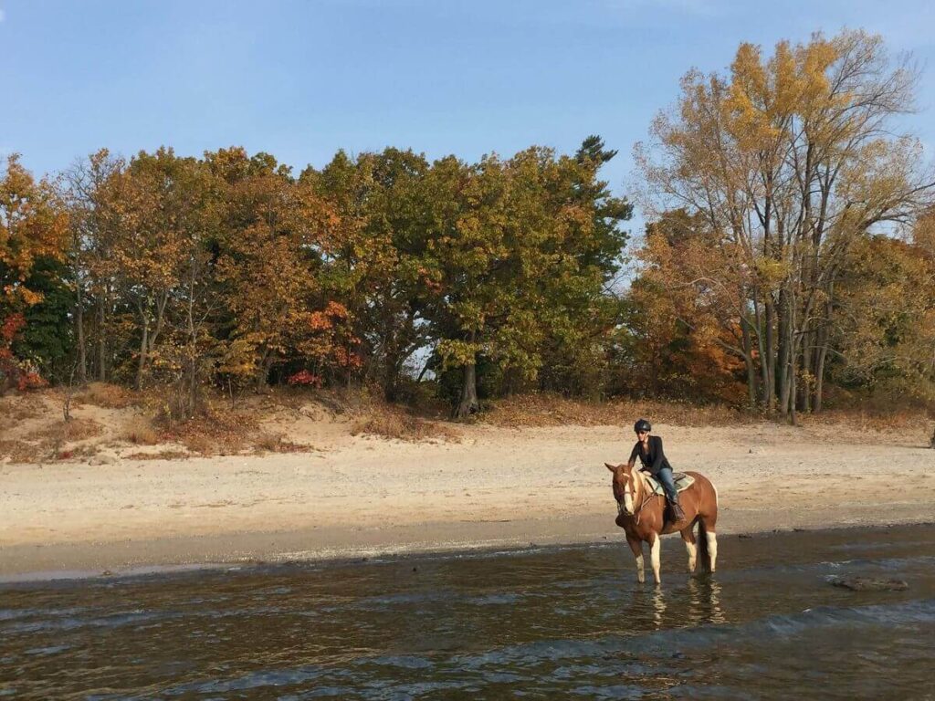 Trail rider petting horse