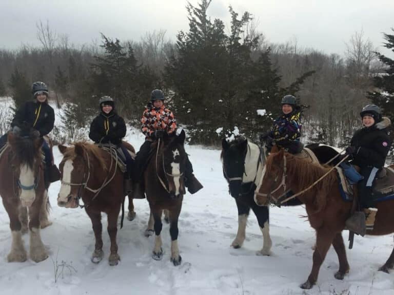 Home - Horseback Riding in Niagara, Ontario