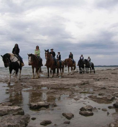 Horseback riders traveling along the beach