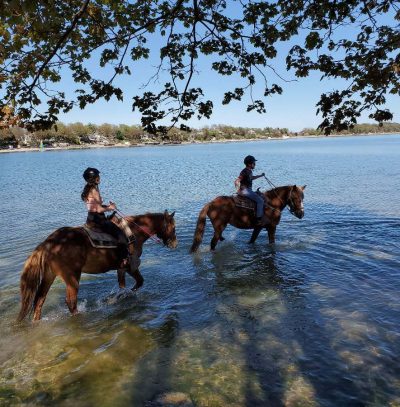 Horses traveling though water near beach