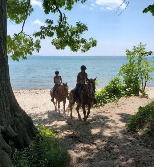 Horseback riders in Ontario leaving the beach