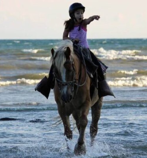 Horseback rider pointing at while riding along the beach.