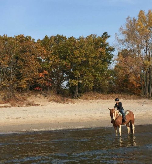 Horseback Riding Ontario along the Beach