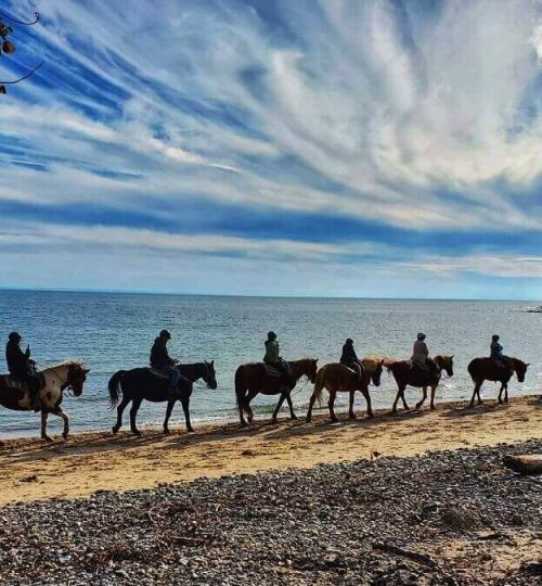 Horses riding down the beach