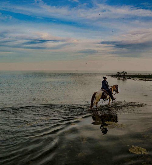 Horse and rider walking through the water along the beach