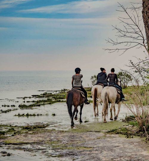 Horseback Trail riders traveling along the beach