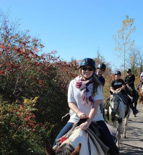 Group of riders horseback riding along the trails
